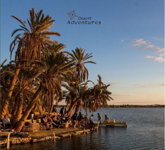 Siwa2-550x500
