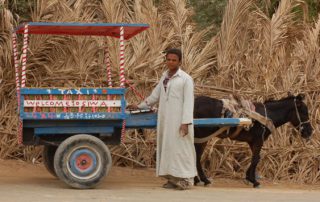 Siwa_035-320x202