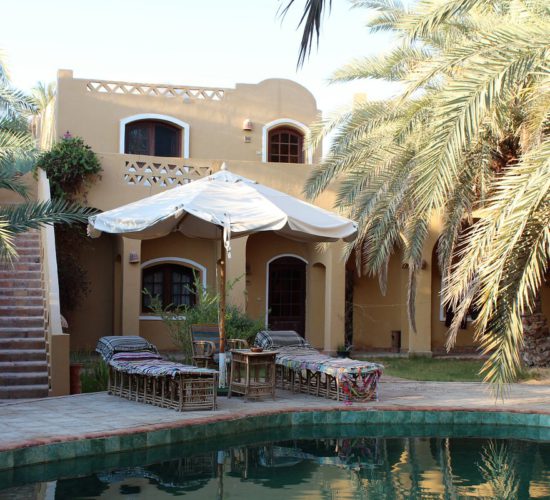 siwa-safari-gardens-hotel-550x500